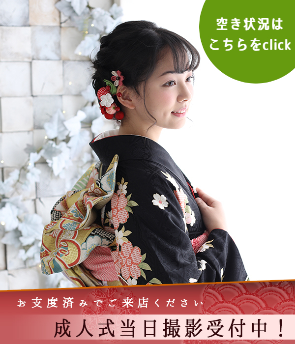 世田谷 狛江 成人式 撮影 レンタル